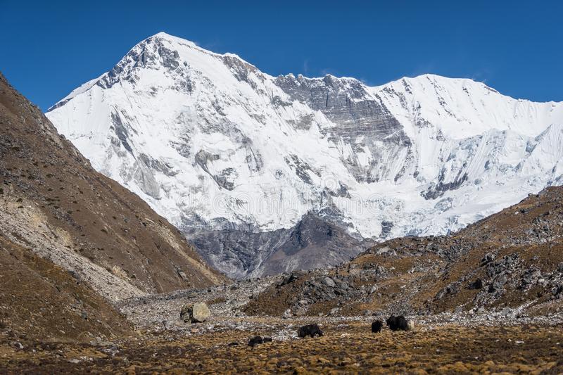 Mount Cho Oyu  Expedition Cost